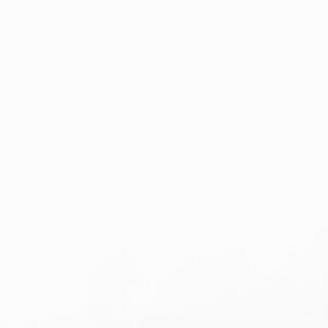 Blanco Icon